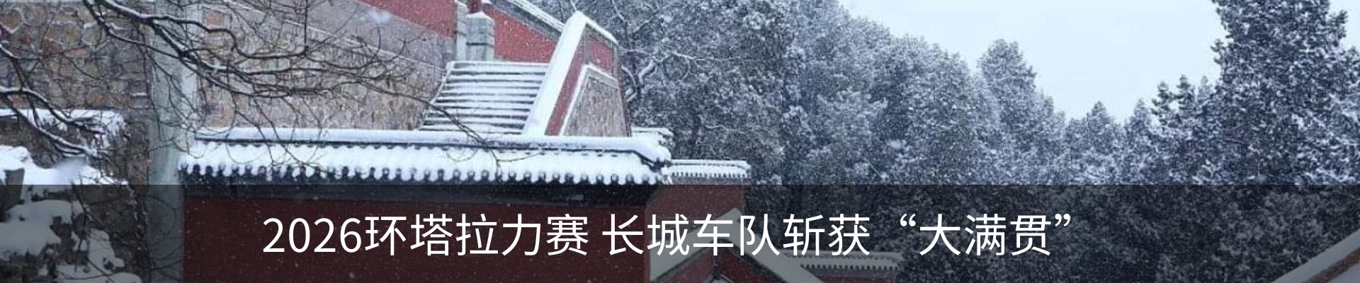 最新动态